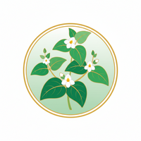 Brahmi